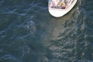 Missing Picture